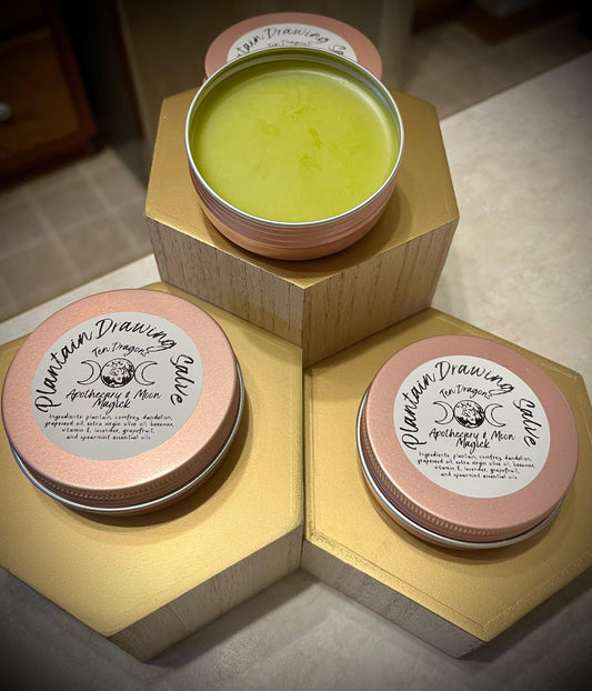 Plantain Drawing Salve - Plantain - Dandelion - Comfrey  - Drawing Salve - First Aid